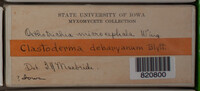 Image Associated With the Occurence